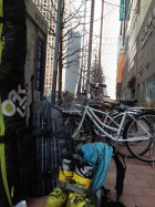 463412.jpeg 463412.jpeg