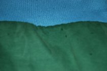 466645.jpeg 466645.jpeg