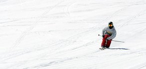 Noah Wallace Spring Edit 