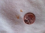 471933.jpeg 471933.jpeg