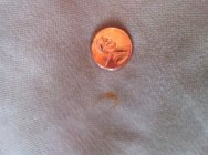 471934.jpeg 471934.jpeg