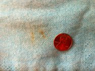 471940.jpeg 471940.jpeg