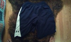 481495.jpeg 481495.jpeg