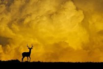 Travel Photography Inspiration Project: Kenya 