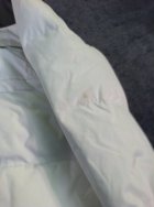 488196.jpeg 488196.jpeg