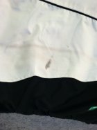 488203.jpeg 488203.jpeg