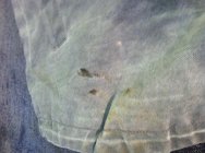 488207.jpeg 488207.jpeg