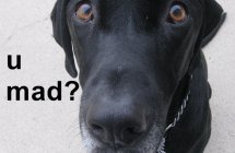 488607.jpeg 488607.jpeg