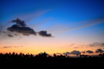 How to Make the Most of your Summer 