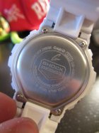 490446.jpeg 490446.jpeg