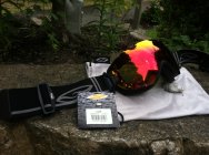 490748.jpeg 490748.jpeg