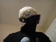 491387.jpeg 491387.jpeg