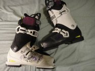 491434.jpeg 491434.jpeg