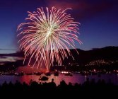 How to Photograph Fireworks Displays 
