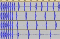 The Speed of DSLRs and Memory Cards Measured Using Shutter Sounds 
