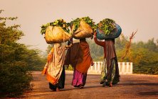 Solo, Teaming up, or Photo Tour DRAFT 