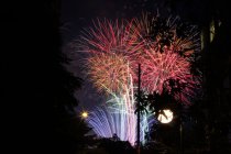 492296.jpeg 492296.jpeg