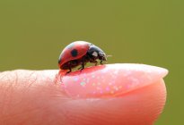 Details: Weekly Photography Challenge 