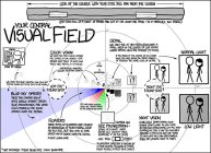 The Visual Field of the Human Eye 