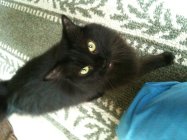 497479.jpeg 497479.jpeg