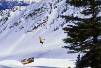 First Kicker In Kicking Horse
