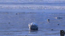 Alyeska Freeride Team 