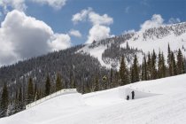 502750.jpeg 502750.jpeg