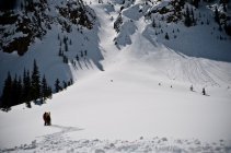 Red Bull Cold Rush Day 3