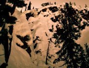 Best Photo of the Season Contest Winner