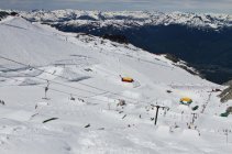 Momentum & Camp of Champions Update