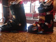 523627.jpeg 523627.jpeg