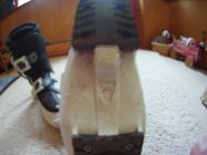 524392.jpeg 524392.jpeg