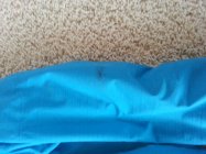 526767.jpeg 526767.jpeg