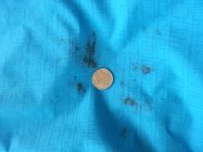 526768.jpeg 526768.jpeg