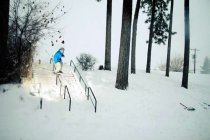 529078.jpeg 529078.jpeg