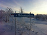 Happy faces in Storlien 