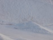 Momentum night shoot 