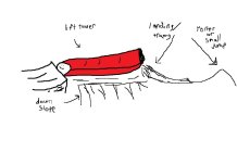 567589.jpeg 567589.jpeg