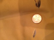 567649.jpeg 567649.jpeg