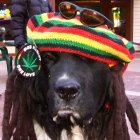 569600.jpeg 569600.jpeg