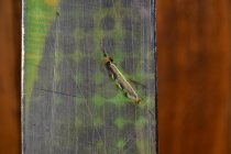 570259.jpeg 570259.jpeg