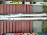 571404.jpeg 571404.jpeg