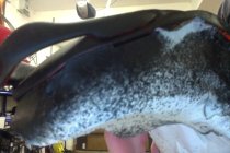 576723.jpeg 576723.jpeg