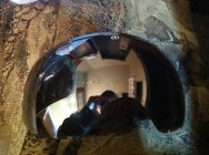 577647.jpeg 577647.jpeg