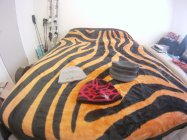 579211.jpeg 579211.jpeg