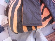 579229.jpeg 579229.jpeg