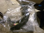 580653.jpeg 580653.jpeg