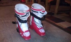 584810.jpeg 584810.jpeg