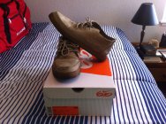 585147.jpeg 585147.jpeg