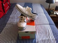 585150.jpeg 585150.jpeg